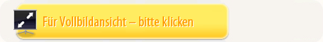 teleint fullscreen